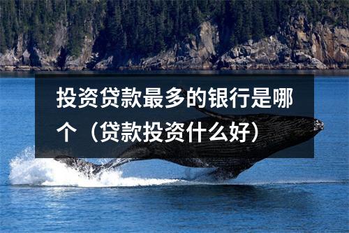 投资贷款最多的银行是哪个（贷款投资什么好）