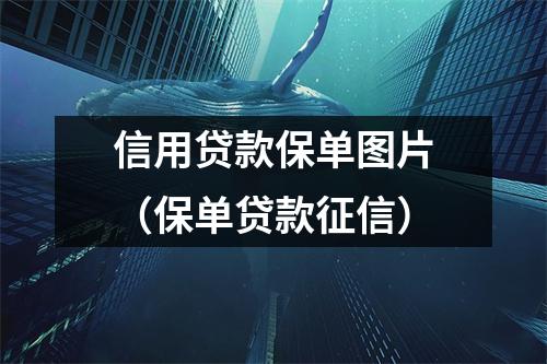 信用贷款保单图片（保单贷款征信）