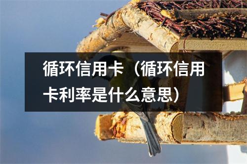 循环信用卡（循环信用卡利率是什么意思）