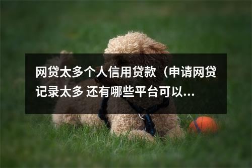 网贷太多个人信用贷款（申请网贷记录太多 还有哪些平台可以贷款）