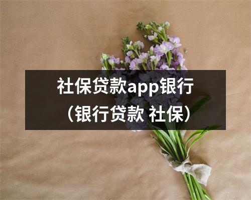 社保贷款app银行（银行贷款 社保）