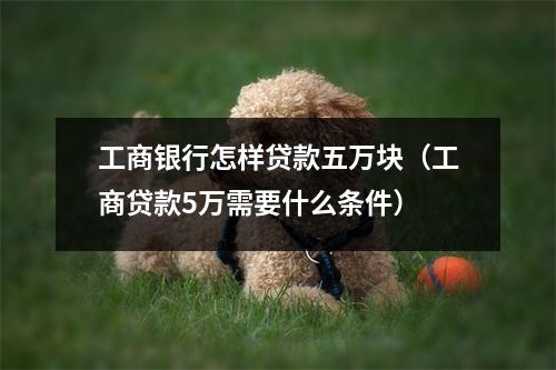 工商银行怎样贷款五万块（工商贷款5万需要什么条件）
