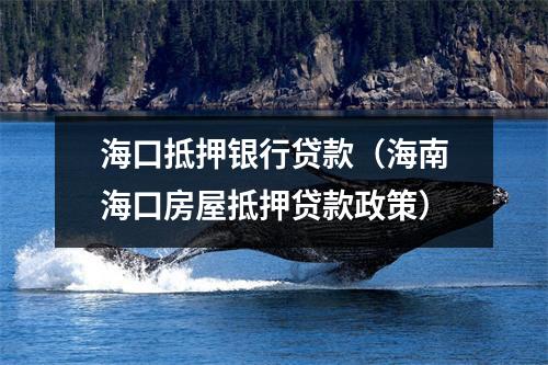 海口抵押银行贷款（海南海口房屋抵押贷款政策）