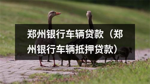 郑州银行车辆贷款（郑州银行车辆抵押贷款）