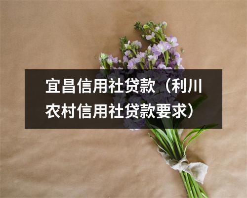 宜昌信用社贷款（利川农村信用社贷款要求）