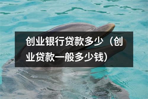 创业银行贷款多少（创业贷款一般多少钱）