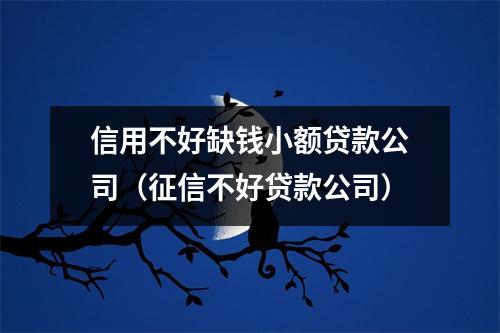 信用不好缺钱小额贷款公司(征信不好贷款公司)