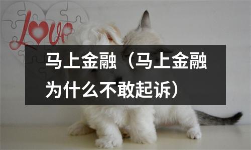 马上金融（马上金融为什么不敢起诉）