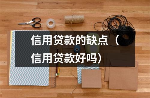 信用贷款的缺点（信用贷款好吗）