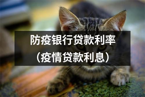 防疫银行贷款利率（疫情贷款利息）
