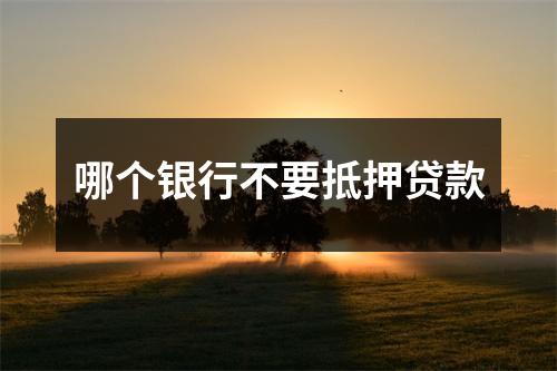 哪个银行不要抵押贷款
