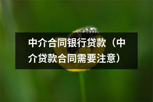 中介合同银行贷款（中介贷款合同需要注意）