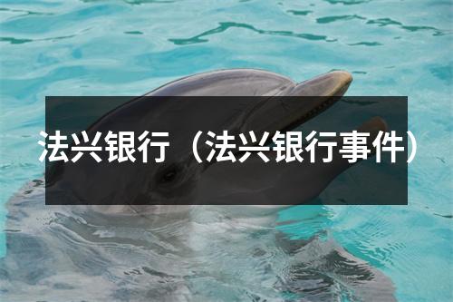 法兴银行（法兴银行事件）
