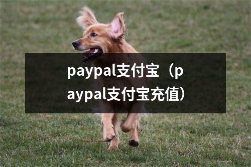 paypal支付宝（paypal支付宝充值）