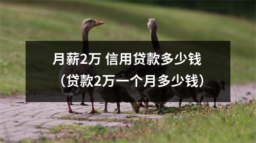 月薪2万 信用贷款多少钱（贷款2万一个月多少钱）