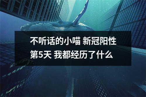 不听话的小喵 新冠阳性第5天 我都经历了什么