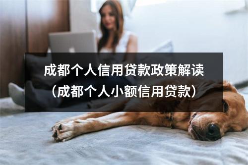 成都个人信用贷款政策解读(成都个人小额信用贷款)