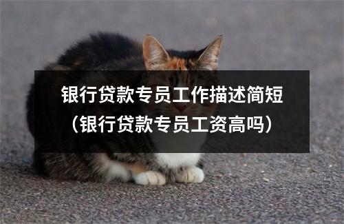 银行贷款专员工作描述简短（银行贷款专员工资高吗）