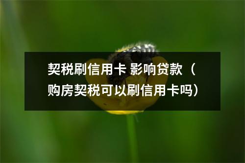 契税刷信用卡 影响贷款（购房契税可以刷信用卡吗）