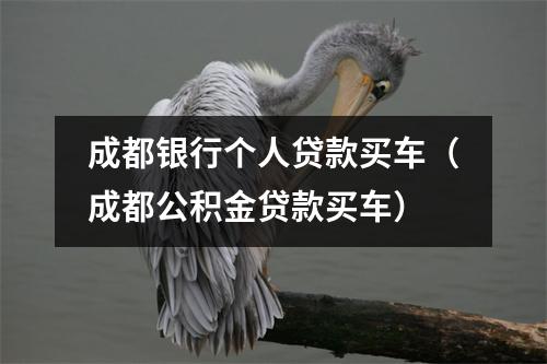 成都银行个人贷款买车（成都公积金贷款买车）