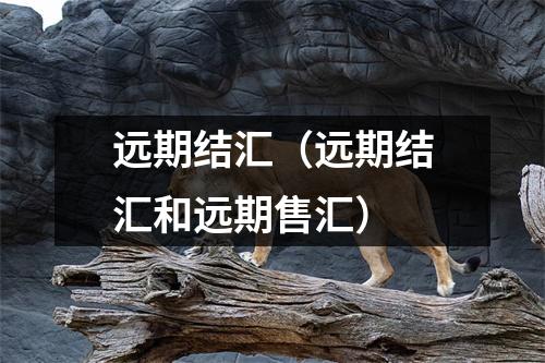 远期结汇（远期结汇和远期售汇）