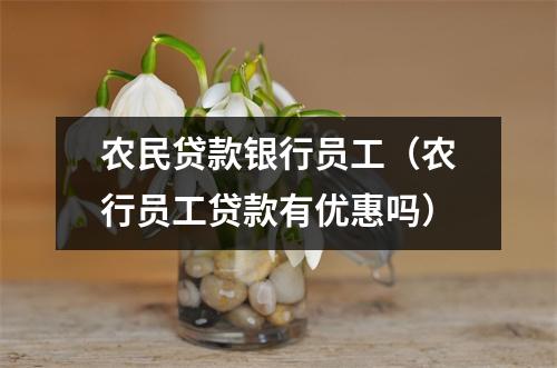 农民贷款银行员工（农行员工贷款有优惠吗）