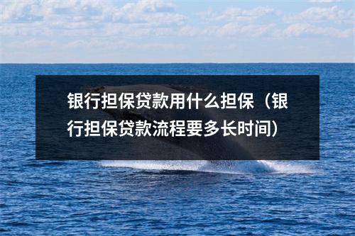 银行担保贷款用什么担保(银行担保贷款流程要多长时间)