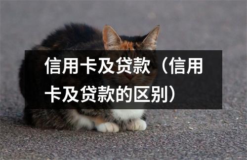 信用卡及贷款（信用卡及贷款的区别）