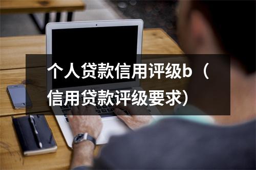 个人贷款信用评级b（信用贷款评级要求）
