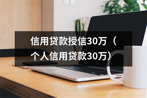 信用贷款授信30万（个人信用贷款30万）
