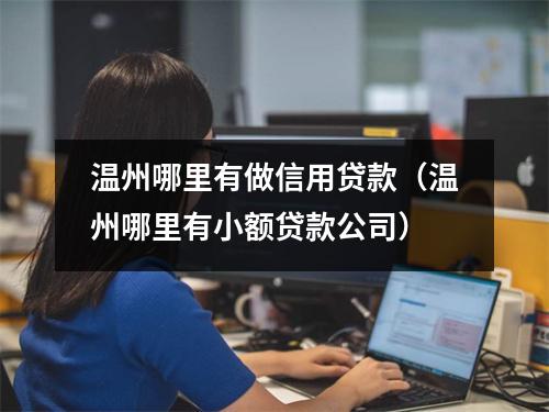 温州哪里有做信用贷款（温州哪里有小额贷款公司）