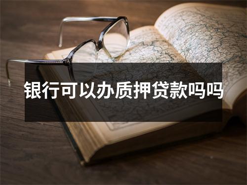 银行可以办质押贷款吗吗