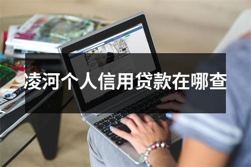 凌河个人信用贷款在哪查