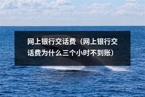 网上银行交话费(网上银行交话费为什么三个小时不到账)