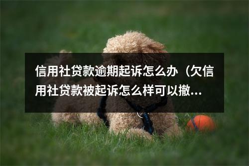 信用社贷款逾期起诉怎么办（欠信用社贷款被起诉怎么样可以撤诉）