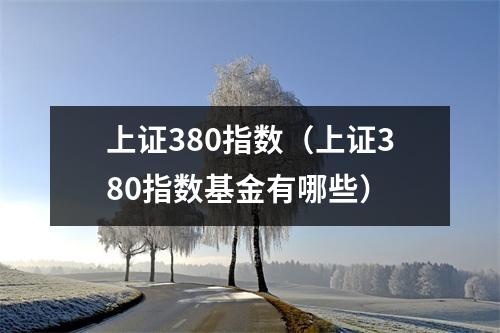 上证380指数(上证380指数基金有哪些)