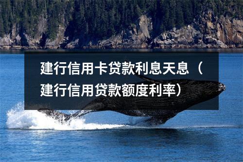 建行信用卡贷款利息天息（建行信用贷款额度利率）