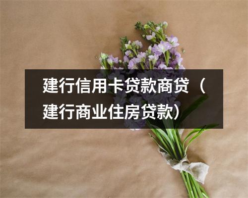 建行信用卡贷款商贷（建行商业住房贷款）