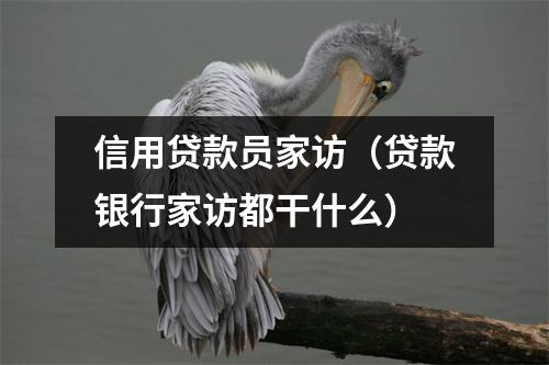 信用贷款员家访（贷款银行家访都干什么）