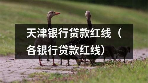 天津银行贷款红线（各银行贷款红线）