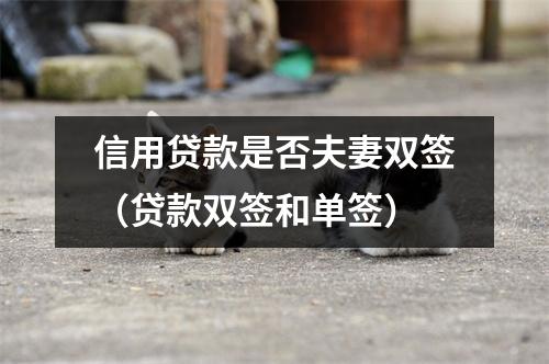信用贷款是否夫妻双签（贷款双签和单签）