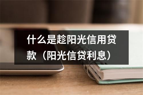 什么是趁阳光信用贷款（阳光信贷利息）
