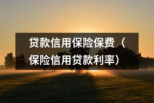 贷款信用保险保费（保险信用贷款利率）
