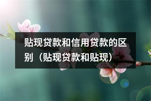 贴现贷款和信用贷款的区别（贴现贷款和贴现）