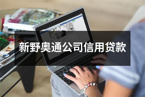 新野奥通公司信用贷款
