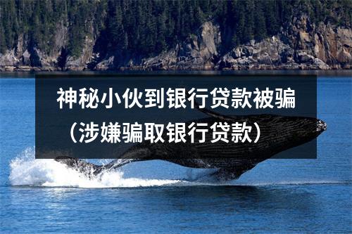 神秘小伙到银行贷款被骗（涉嫌骗取银行贷款）