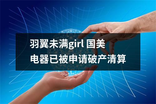 羽翼未满girl 国美电器已被申请破产清算