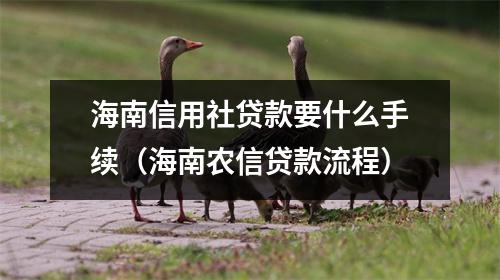 海南信用社贷款要什么手续（海南农信贷款流程）