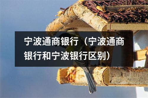 宁波通商银行（宁波通商银行和宁波银行区别）