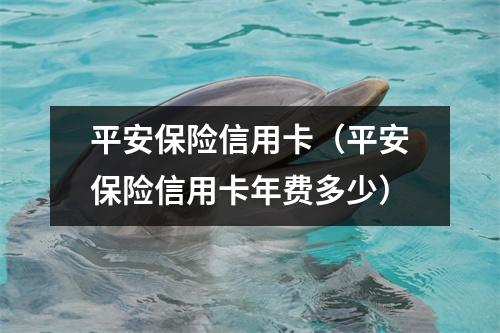 平安保险信用卡（平安保险信用卡年费多少）